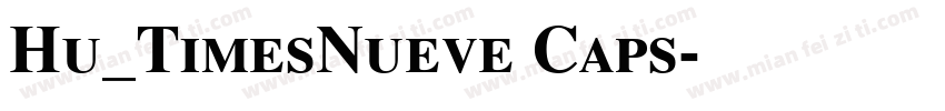 Hu_TimesNueve Caps字体转换